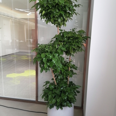 三层幸福树
