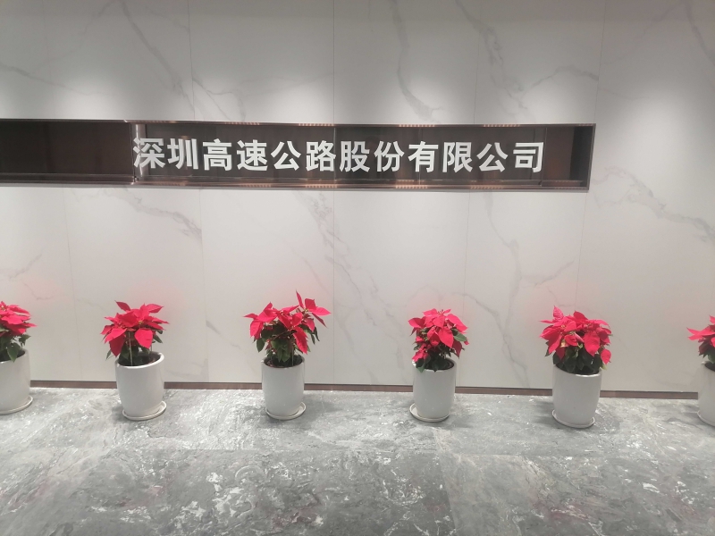 一品红