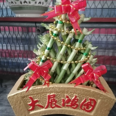 节节高