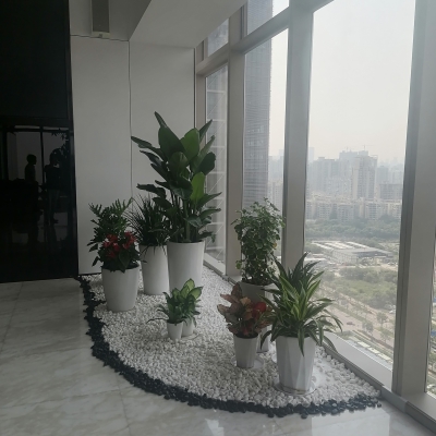 组合盆