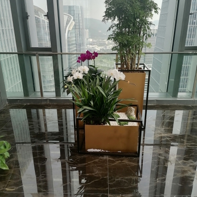 组合盆