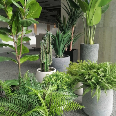 组合盆
