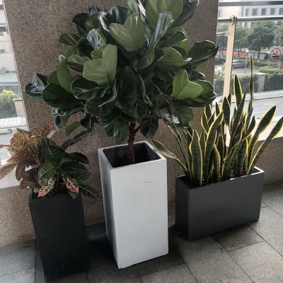 组合盆
