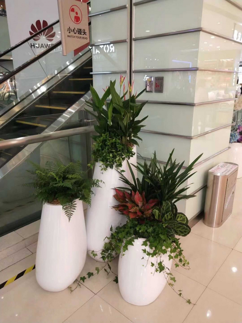 组合盆