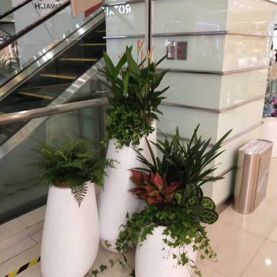 组合盆