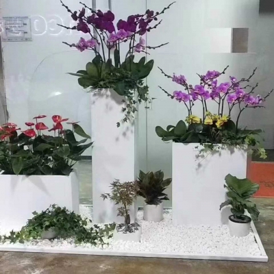 组合盆