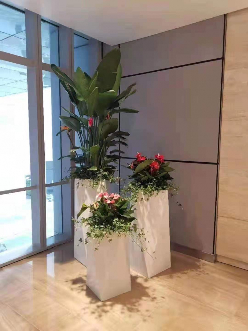 组合盆