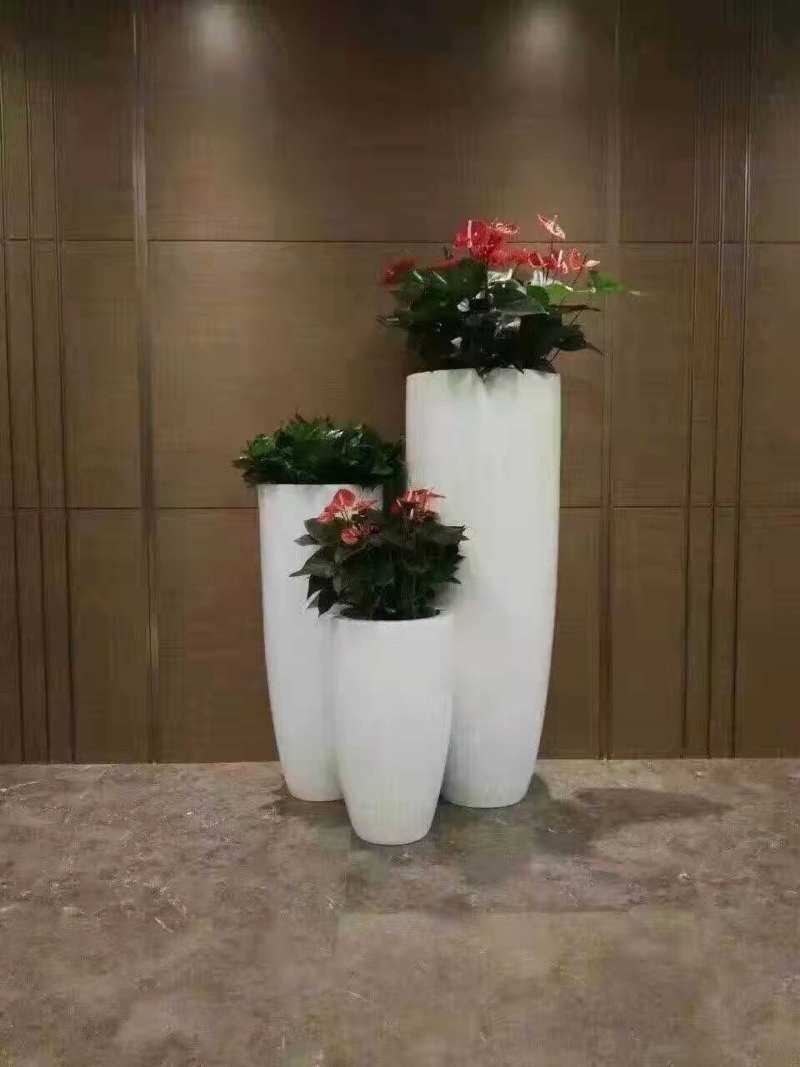 组合盆