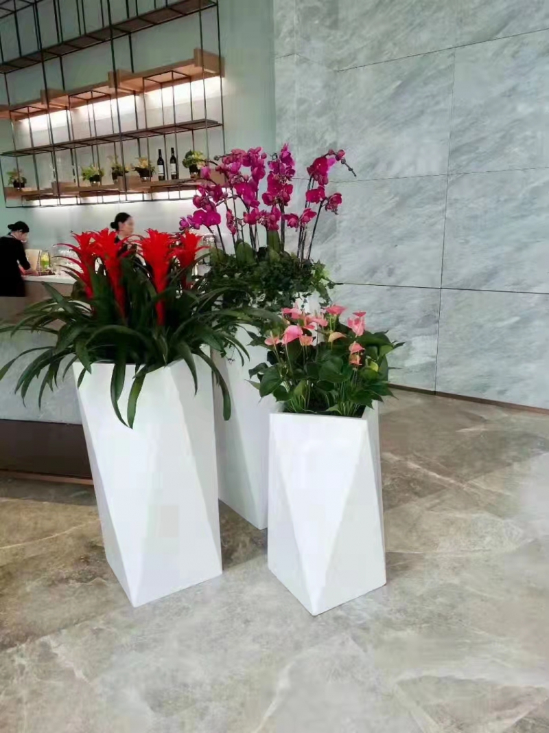 组合盆