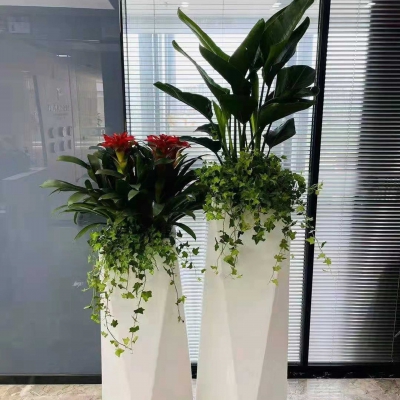 组合盆