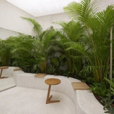 室内造景