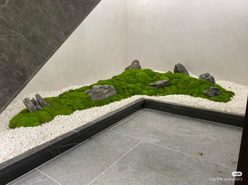 室内造景