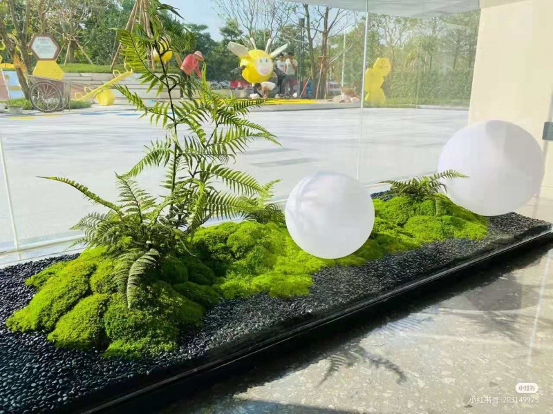 室内造景
