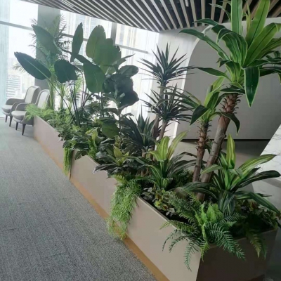 室内造景