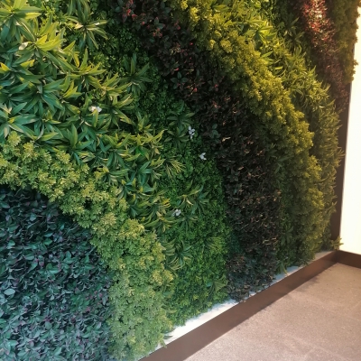 植物墙