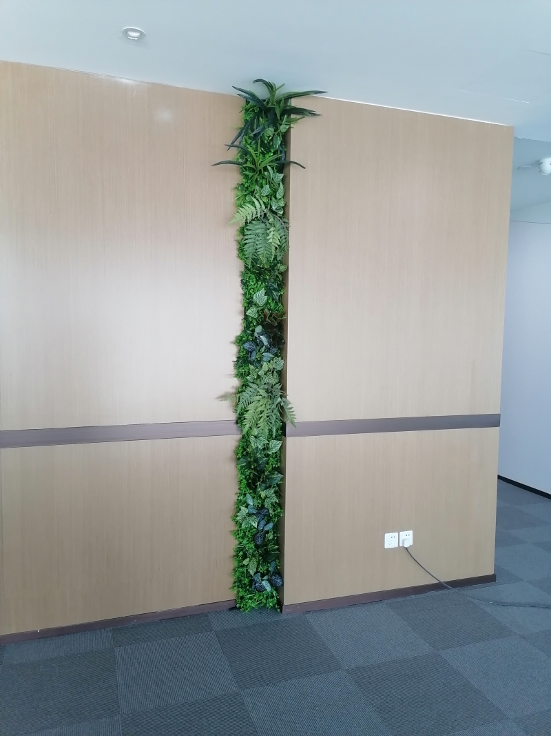 植物墙