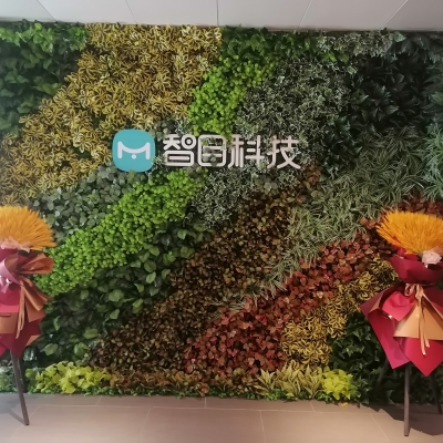 植物墙