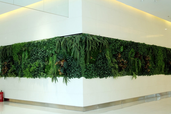 植物墙