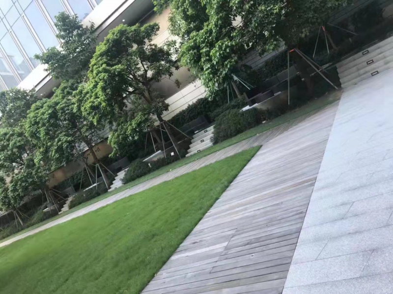 绿化养护