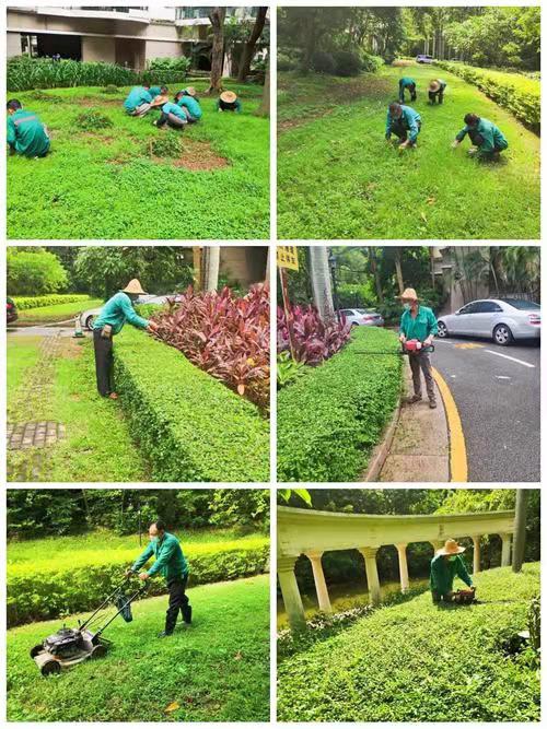 绿化养护