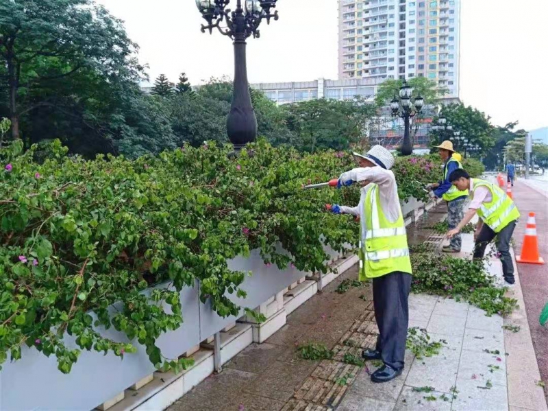 绿化养护