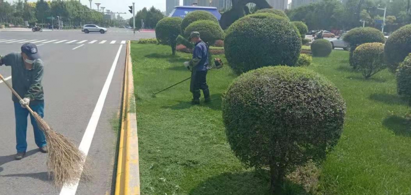 绿化养护
